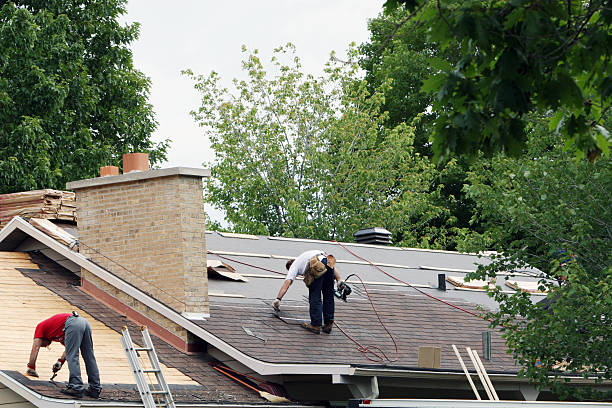 Roof Gutter Cleaning in South Alamo, TX